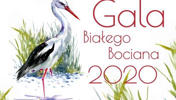 Biały Bocian 2020 - Grafika 1024x768px